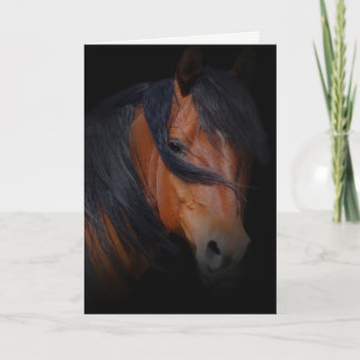 Horse Sympathy Card for Loss of Horse