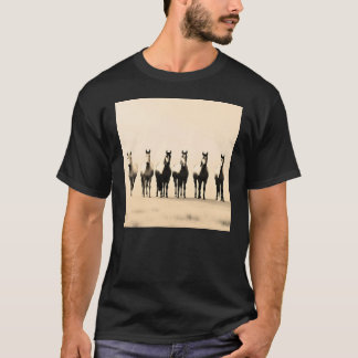 Horse T-shirt, Equestrian Shirt, Sunlit Horses T-Shirt
