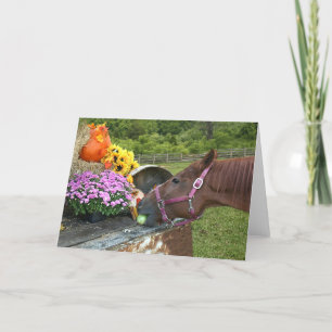 Horse Thanksgiving Holiday Card