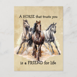 HORSE that Trusts FRIEND for life Quote  Postcard