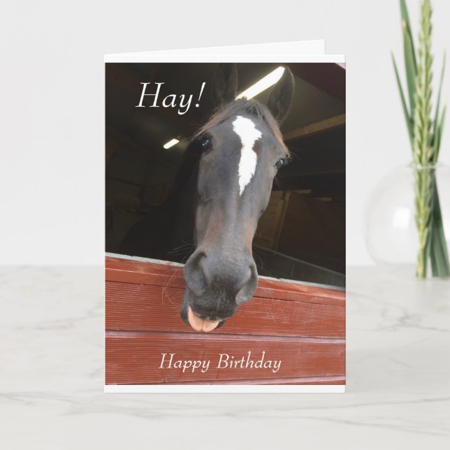 horse themed birthday card (Front)