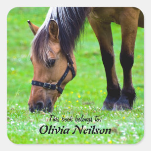 Horse "This book belongs to ..." Sticker