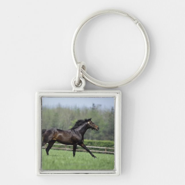 Horse Thoroughbreds, Wassl 1988, Key Ring (Front)