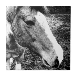 Horse Tile