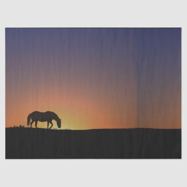 Horse Tissue Paper (Front)