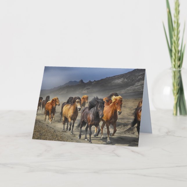 horse trail greeting card (Front)