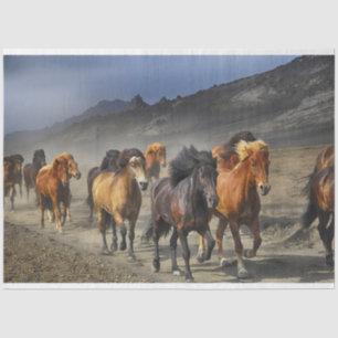 horse trail tissue paper