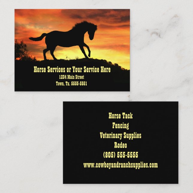 Horse Training Supplies Service Lessons Business Card (Front/Back)