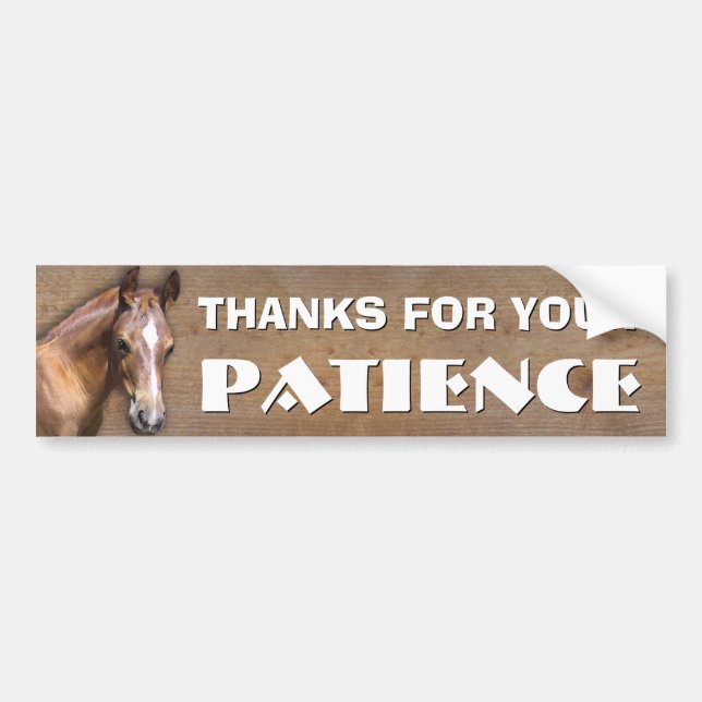 Horse Transport: Thanks for your Patience Bumper Sticker (Front)