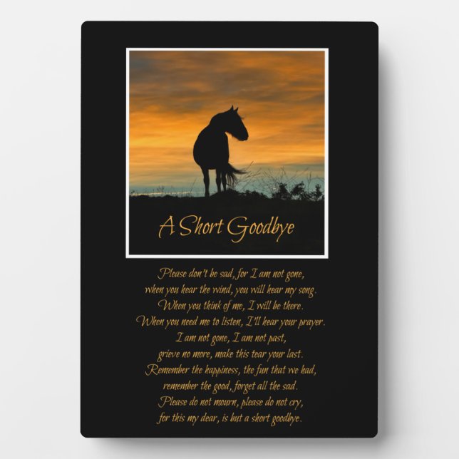Horse Tribute Memorial Beautiful Poem Plaque (Front)