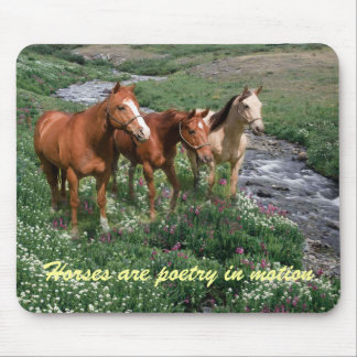 Horse Trio Mousepad