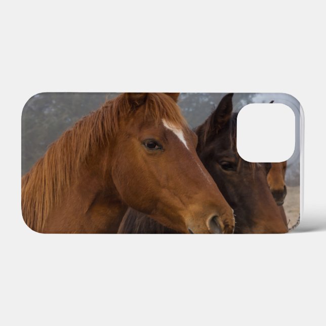 Horse Triplets Case-Mate iPhone Case (Back (Horizontal))