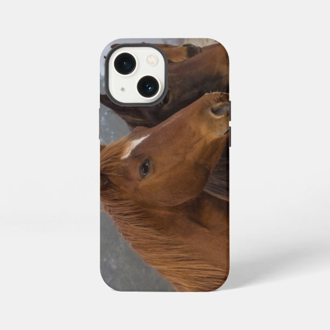 Horse Triplets iPhone Case (Back)
