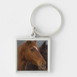Horse Triplets Key Ring