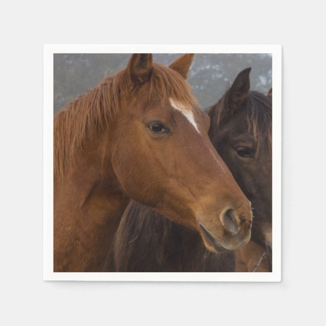 Horse Triplets Napkin (Front)