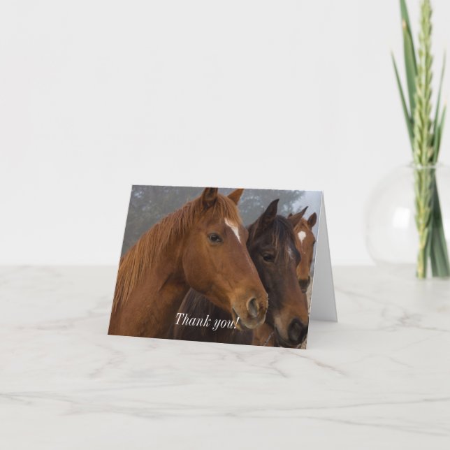 Horse Triplets Thank You Card (Front)