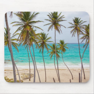 Horse Tropical Beach with Palm Trees Mouse Mat