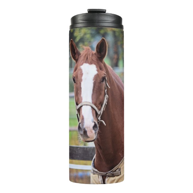 Horse tumbler (Front)