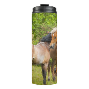 Horse tumbler
