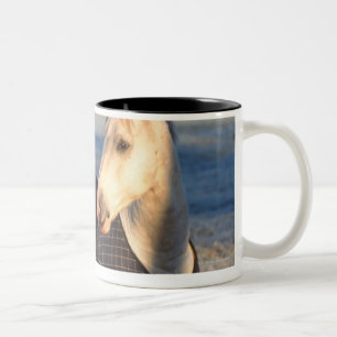 horse Two-Tone coffee mug