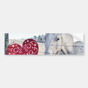 HORSE Valentine heart Bumper Sticker