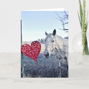 HORSE Valentine heart Holiday Card