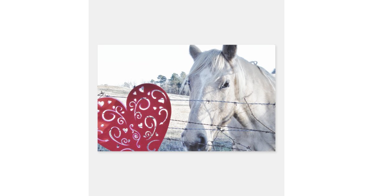 horse-valentine-heart-rectangular-sticker-zazzle