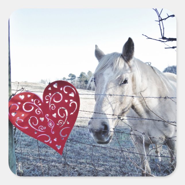 HORSE Valentine heart Square Sticker (Front)