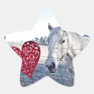 HORSE Valentine heart Star Sticker