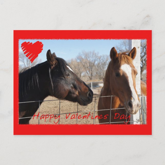 Horse Valentine VI Holiday Postcard (Front)