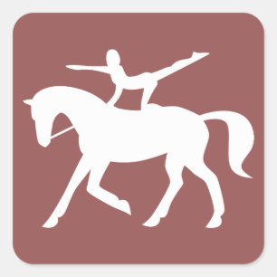 horse vaulting icon square sticker