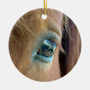 Horse Vision Ornament