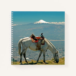 Horse & volcano, Quito, Ecuador Notebook