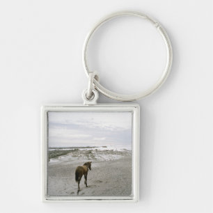 Horse walking on the beach key ring