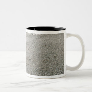 Horse walking on the beach Two-Tone coffee mug