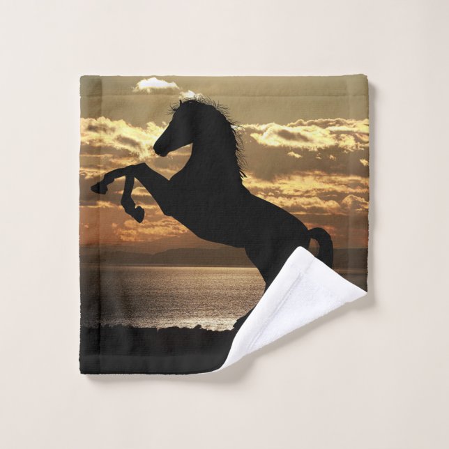 horse wash cloth (Wash Cloth)