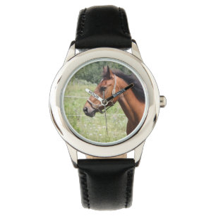 Horse Watch