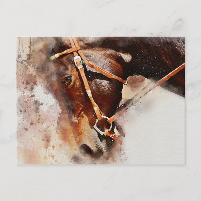Horse Watercolor Art  Postcard (Front)
