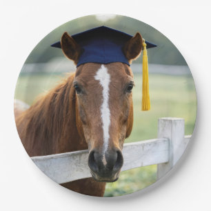Horse Wearing a Graduate Cap Paper Plate