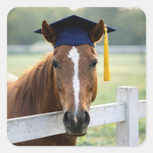 Horse Wearing a Graduate Cap Square Sticker