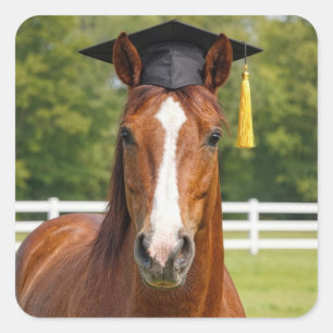 Horse Wearing a Graduation Cap Square Sticker