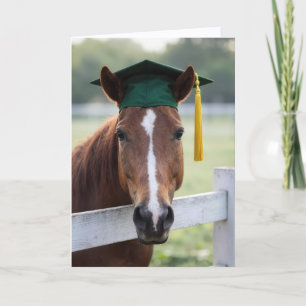 Horse Wearing a Green Graduation Cap Card