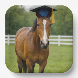 Horse Wearing a Navy Blue Graduation Cap Paper Plate
