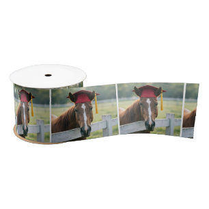 Horse Wearing a Red Graduation Cap Satin Ribbon