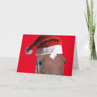 Horse wearing a Santa Claus Hat for Christmas Card
