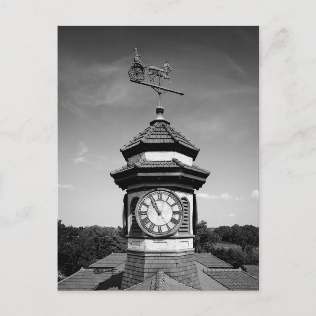 Horse Weather Vane and Clock Tower Postcard (Front)
