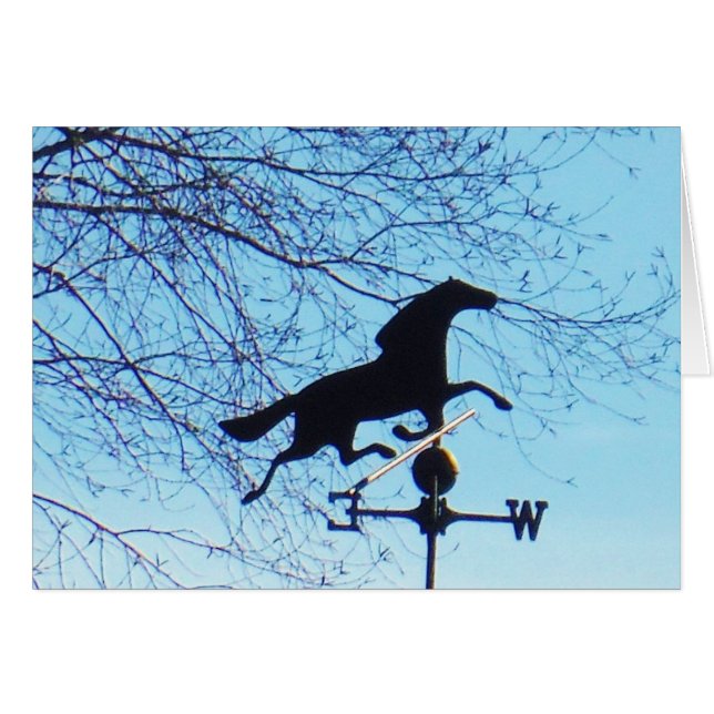 Horse Weather Vane Blue Sky (Front Horizontal)