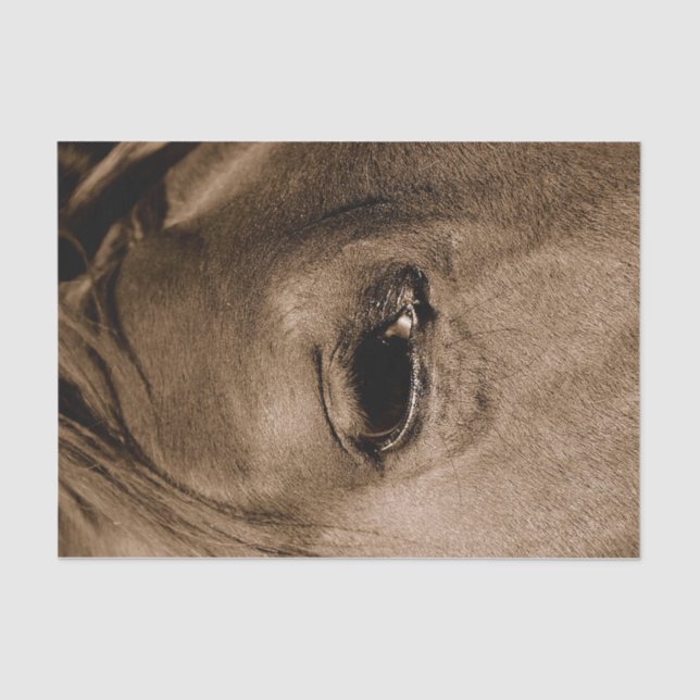 Horse Western Rustic Vintage Decoupage Tissue Paper (Front)