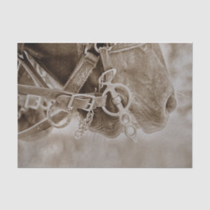 Horse Western Vintage Sepia Rustic Decoupage Tissue Paper