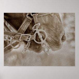 Horse Western Vintage Sepia Rustic Poster